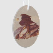 Klassieke koolvis met verse vis ornament (voorkant)