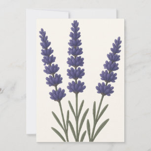 Klassieke Lavendel Botanische Kunst Ontwerp Feestdagenkaart
