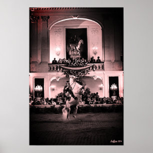 Klassieke Oostenrijk Wenen Spaanse Courbette Poster