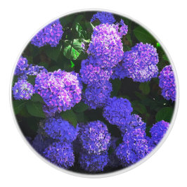 Klassieke Paarse Realistische Hydrangea Keramische Knop