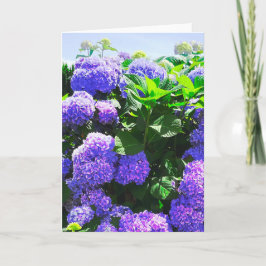 Klassieke Paarse Realistische Hydrangea Wenskaart Kaart