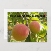 Klassieke peach op Tree Funny Text Briefkaart (Voorkant / Achterkant)