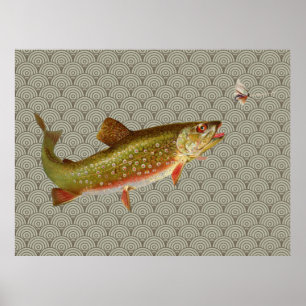 Klassieke regenboogforel vliegvissen poster