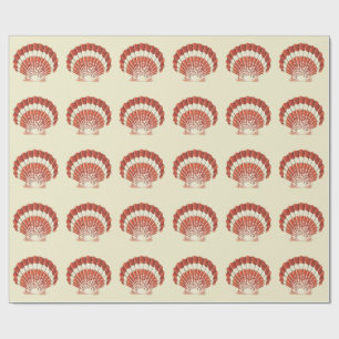 Klassieke Rode en Witte Sint-Jakobsschelp Nautilus Cadeaupapier