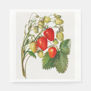 Klassieke Rode Rijpe Aardbeientak Kunst Servet