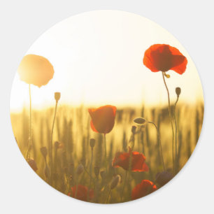 Klassieke ronde sticker