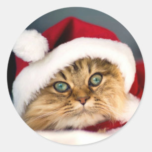 Klassieke ronde sticker met Santa Tabby Cat