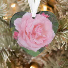 Klassieke roze roze acryl ornament