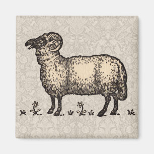 Klassieke Schapen Illustratie: Boerderij Kunst Magneet