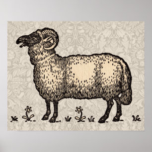 Klassieke Schapen Illustratie: Boerderij Kunst Poster
