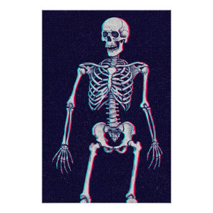 Klassieke skelet staande kunst perfect poster