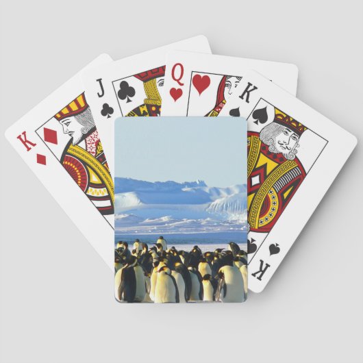 Klassieke speelkaart pokerkaarten (Achterkant)