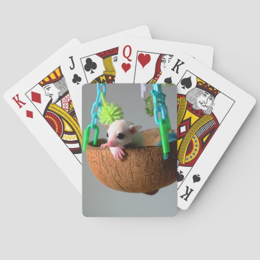 Klassieke suikerzweefkaarten pokerkaarten (Achterkant)