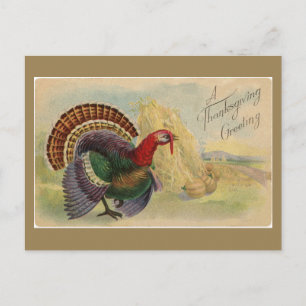Klassieke Thanksgiving-groeten Kalkoen Briefkaart
