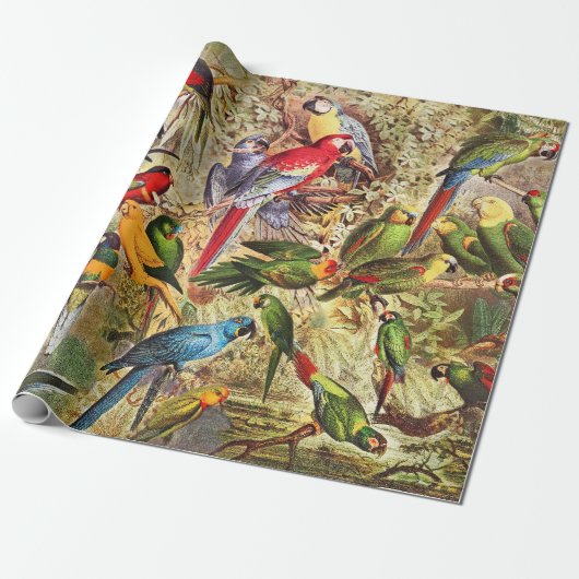 Klassieke tropische vogelparrots cadeaupapier (Uitgerold)