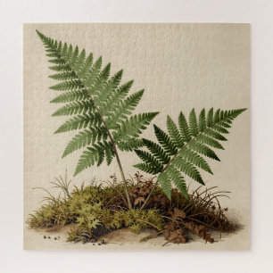 Klassieke Varens Botanisch Legpuzzel