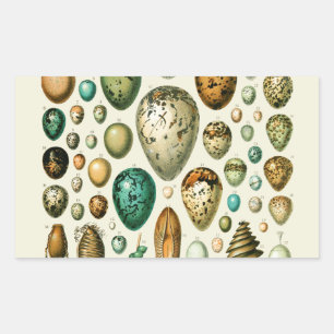 Klassieke vogeleieren Franse vis-ei kunst Rechthoekige Sticker