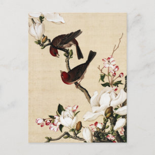 Klassieke witte magnolia- en vogelkunstdruk briefkaart