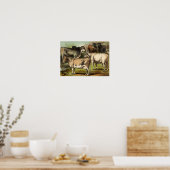 Klassieke zoölogische Etching - Koeien Poster (Keuken)