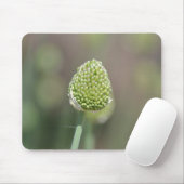 klaver muismat (Met muis)