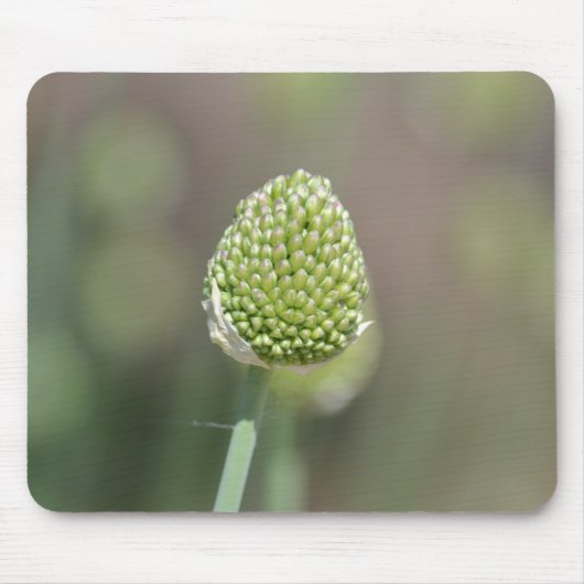 klaver muismat (Voorkant)