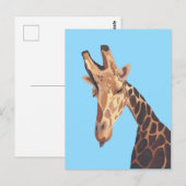Kleding van Giraffes Briefkaarten kop (Voorkant / Achterkant)