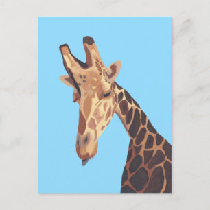 Kleding van Giraffes Briefkaarten kop