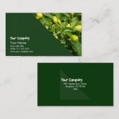 Kleding van pepers visitekaartje (Voorkant / Achterkant)