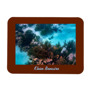 Klein Bonaire Reef Magneet