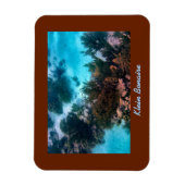 Klein Bonaire Reef Magneet (Verticaal)