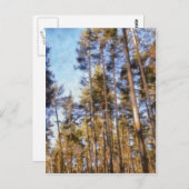 Klein bos briefkaart (Voorkant / Achterkant)