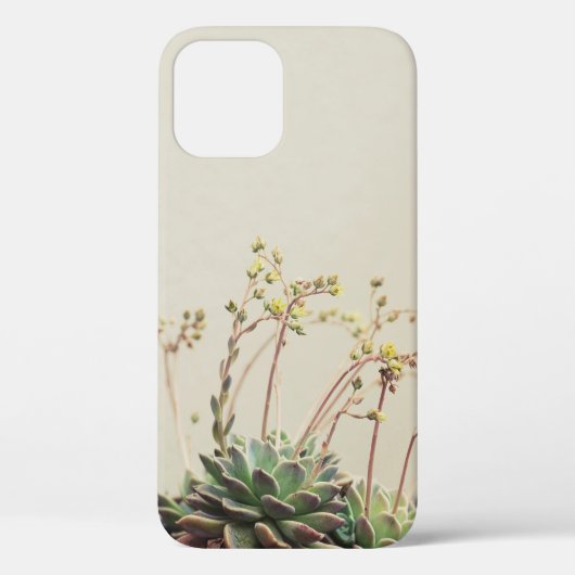 KLEIN GARDEN SUCCULEMENT Case-Mate iPhone CASE (Achterkant)