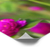 Klein gedeelte 1 poster (Hoek)