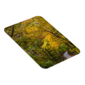 Klein grind, met herfstkleuren magneet (Rechterzijde)