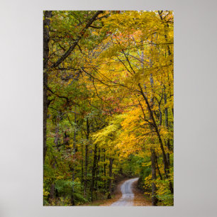 Klein grind, met herfstkleuren poster