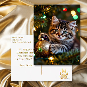 Klein Katje op Kerstboom Persoonlijk Feestdagenkaart