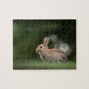 Klein Konijn Natuurfoto Legpuzzel