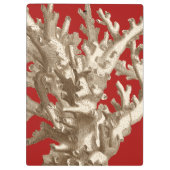 Klein koraal in rood klembord (Achterkant)