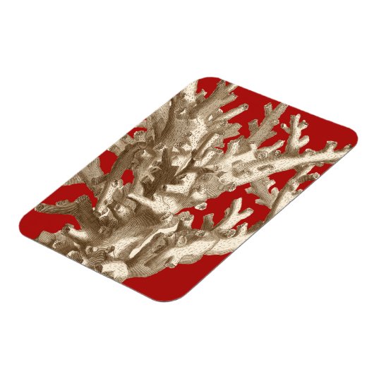Klein koraal in rood magneet (Linkerzijde)