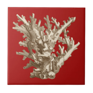 Klein koraal in rood tegeltje