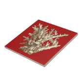 Klein koraal in rood tegeltje (Zijkant)