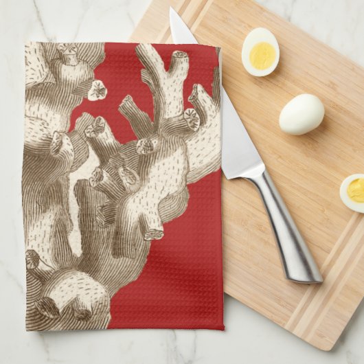 Klein koraal in rood theedoek (Quarter Fold)