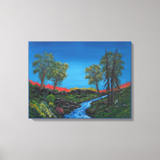 Klein landschap Rocky Forest Stream Canvas Afdruk