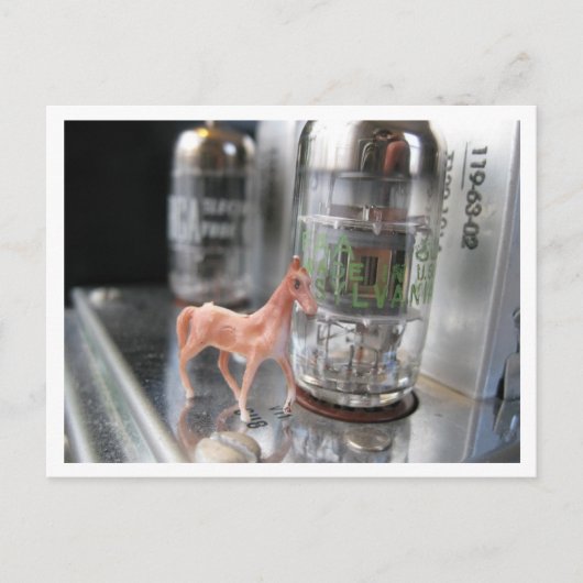 Klein paartje in de  McIntosh Briefkaart (Voorkant)