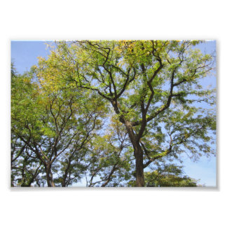 KLEIN Poster # L003 op foto