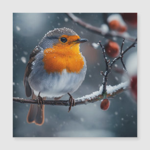 Klein robbertje zittend op een tak in de winter