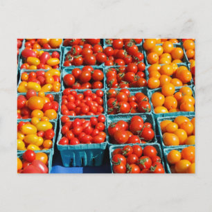 Klein-rood-Oranje tomaten Briefkaart