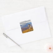 klein schaap, Ovis dalli, ram Vierkante Sticker (Envelop)