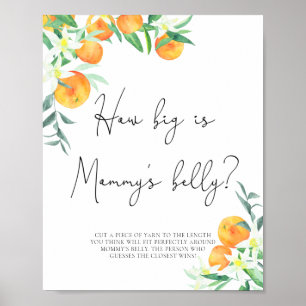 Klein schatje hoe groot is mama's buik spel poster