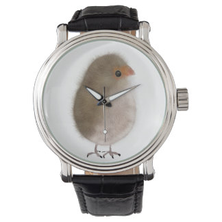 Klein vogeltje in een horloge! horloge